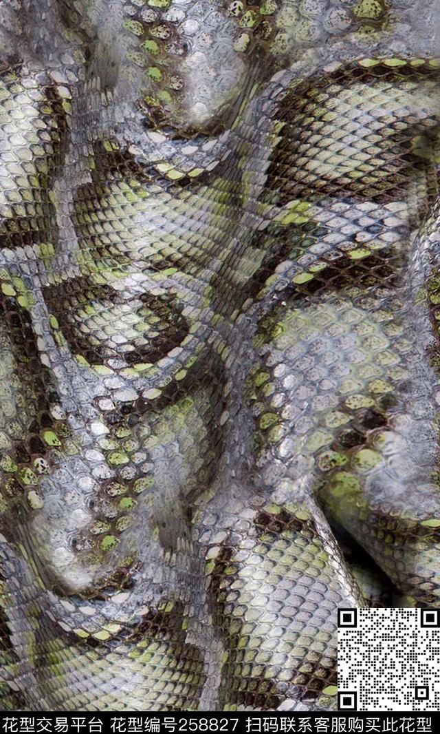 数码印花华亿平台下载（图片编号: 258827） - 瓦栏（Walan）