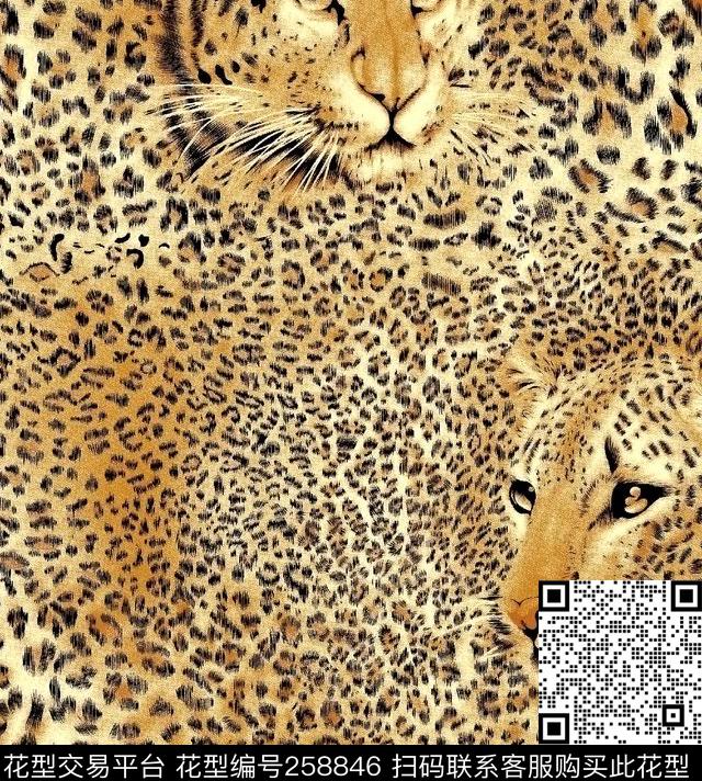 豹子豹纹野性数码印花华亿平台下载（图片编号: 258846） - 瓦栏（Walan）