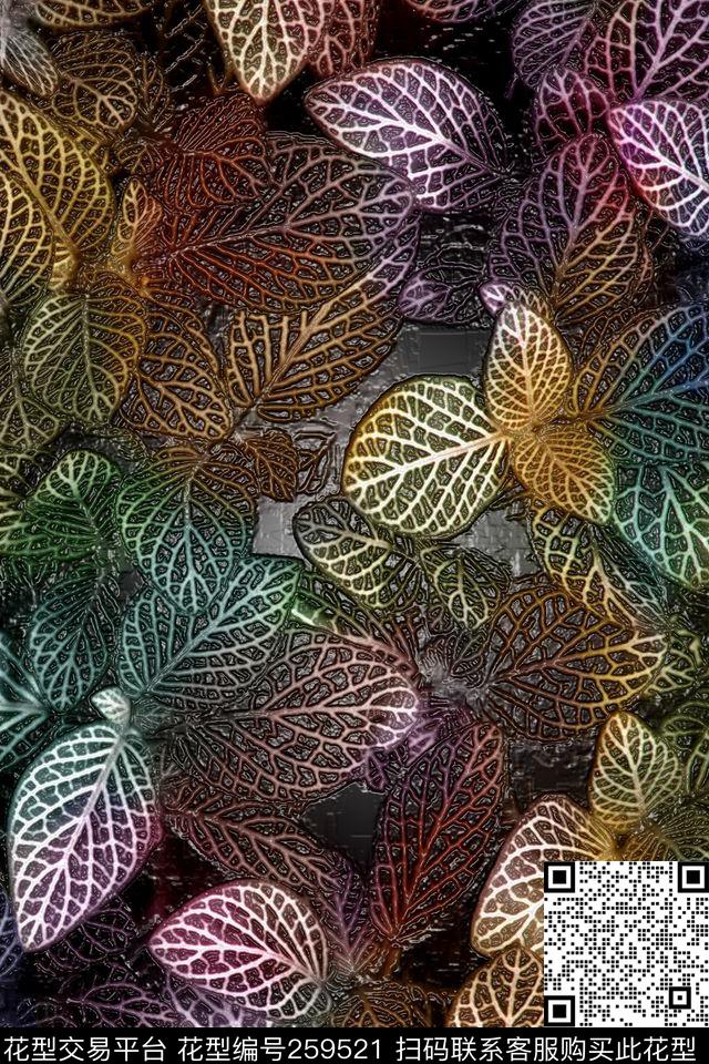 树叶多彩和谐数码印花华亿平台下载（图片编号: 259521） - 瓦栏（Walan）