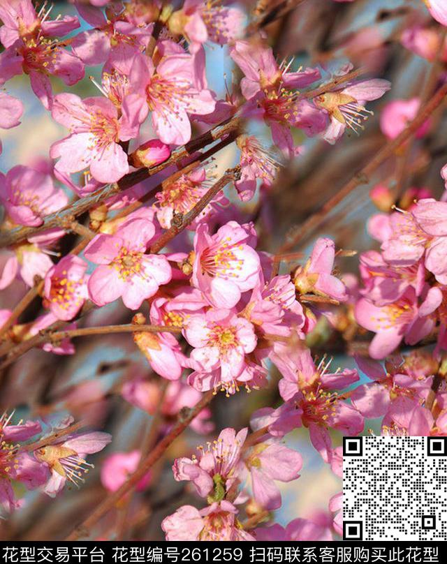 花卉满版数码数码印花华亿平台下载（图片编号: 261259） - 瓦栏（Walan）