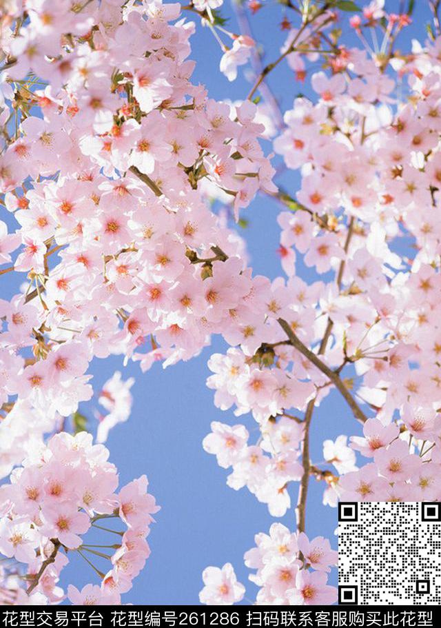 桃花淡雅清新数码印花华亿平台下载（图片编号: 261286） - 瓦栏（Walan）