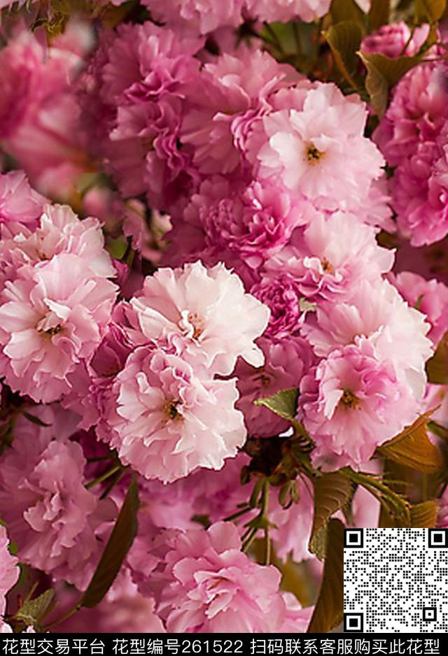 花卉粉色浪漫数码印花华亿平台下载（图片编号: 261522） - 瓦栏（Walan）