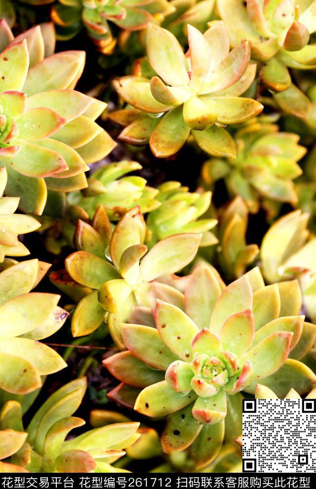 植物生机数码印花华亿平台下载（图片编号: 261712） - 瓦栏（Walan）