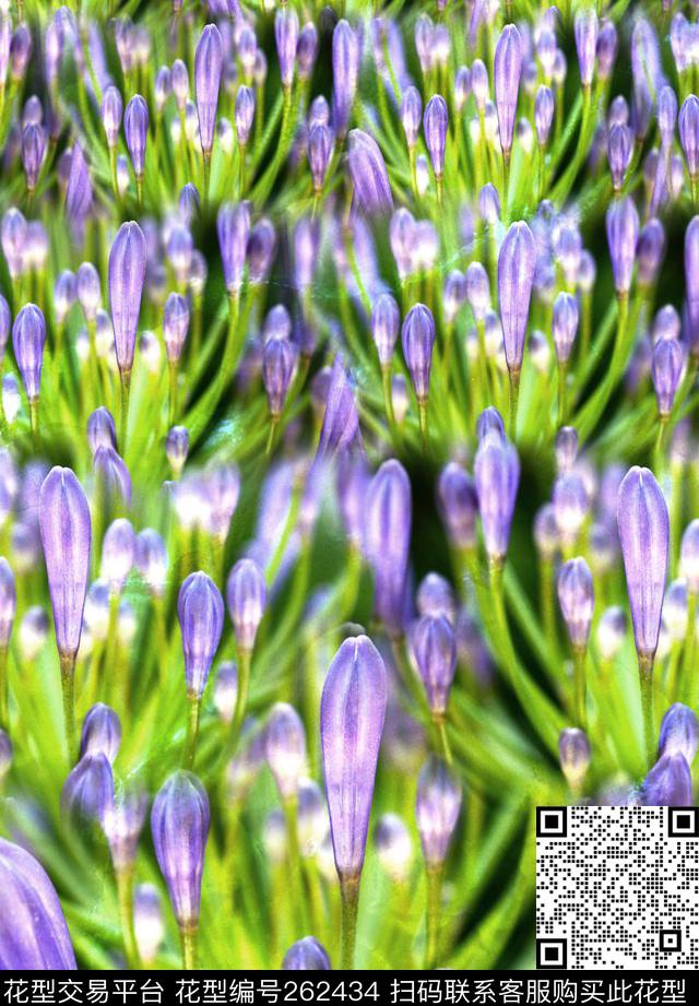 花卉唯美清新数码印花华亿平台下载（图片编号: 262434） - 瓦栏（Walan）