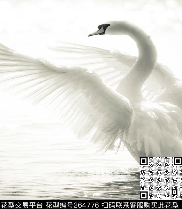 数码印花华亿平台下载（图片编号: 264776） - 瓦栏（Walan）