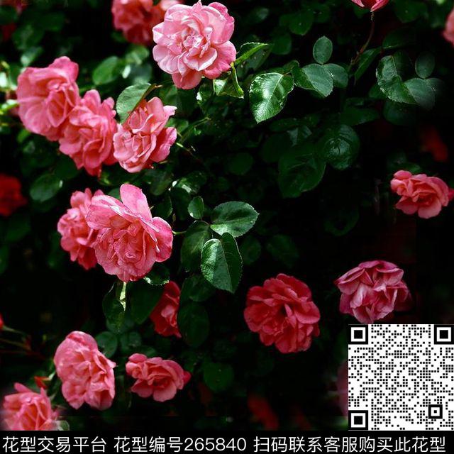 ♥红桃A〖花鸟天堂〗数码印花华亿平台下载（图片编号: 265840） - 瓦栏（Walan）