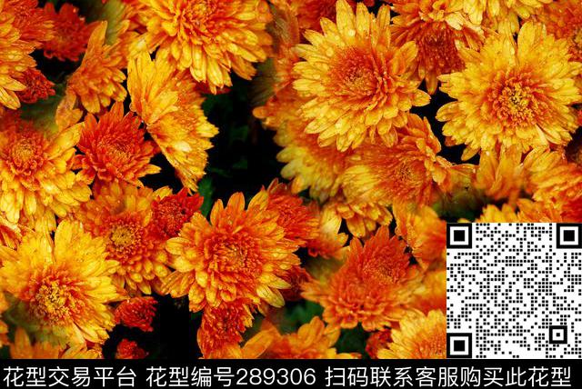 花卉雏菊简约数码印花华亿平台下载（图片编号: 289306） - 瓦栏（Walan）