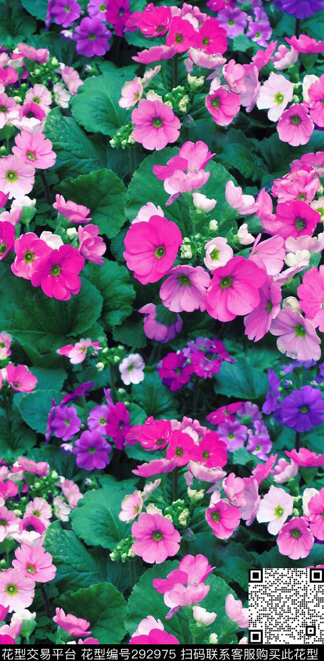 数码印花华亿平台下载（图片编号: 292975） - 瓦栏（Walan）