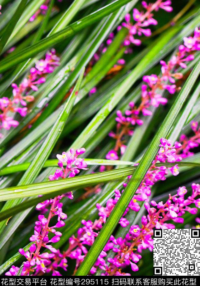 摄影写实花卉特写清新数码印花华亿平台下载（图片编号: 295115） - 瓦栏（Walan）