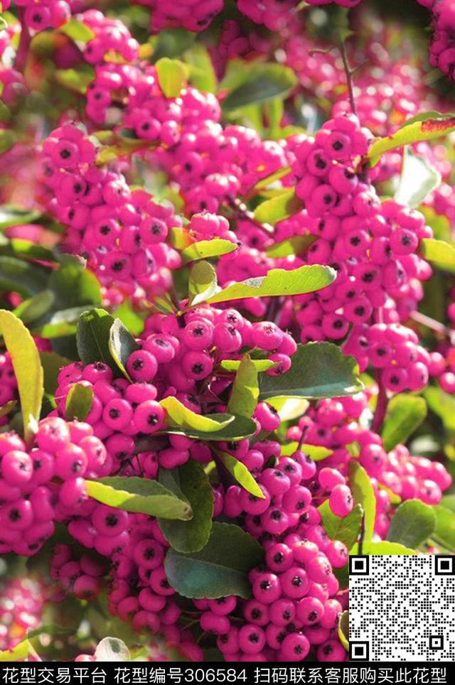 数码印花华亿平台下载（图片编号: 306584） - 瓦栏（Walan）