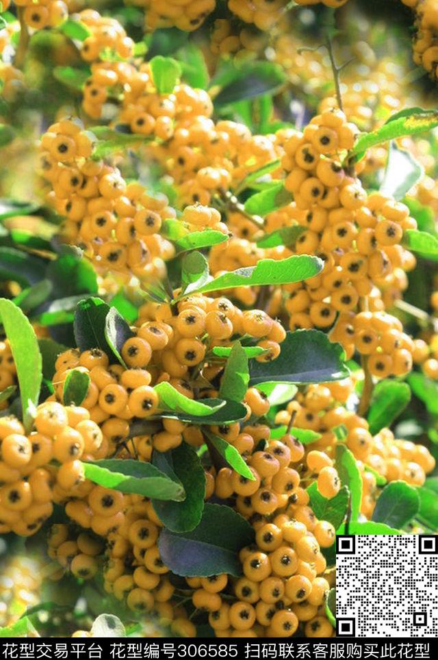 数码印花华亿平台下载（图片编号: 306585） - 瓦栏（Walan）