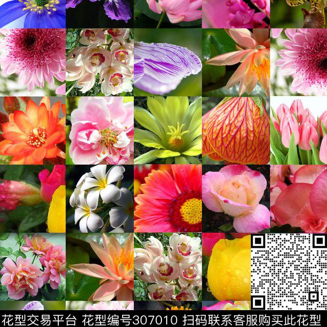 ♥红桃A〖花鸟天堂〗数码印花华亿平台下载（图片编号: 307010） - 瓦栏（Walan）