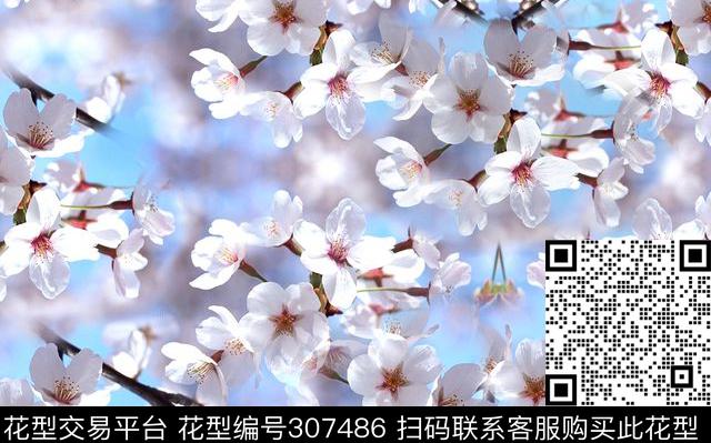 摄影写实花卉樱花特写数码印花华亿平台下载（图片编号: 307486） - 瓦栏（Walan）