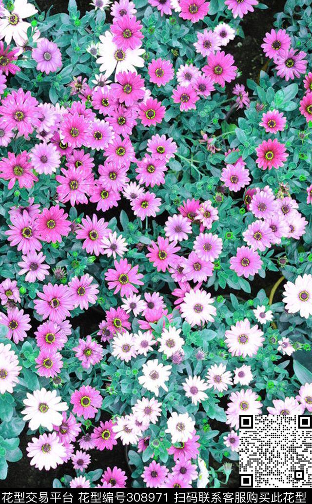 田园风花卉数码印花华亿平台下载（图片编号: 308971） - 瓦栏（Walan）