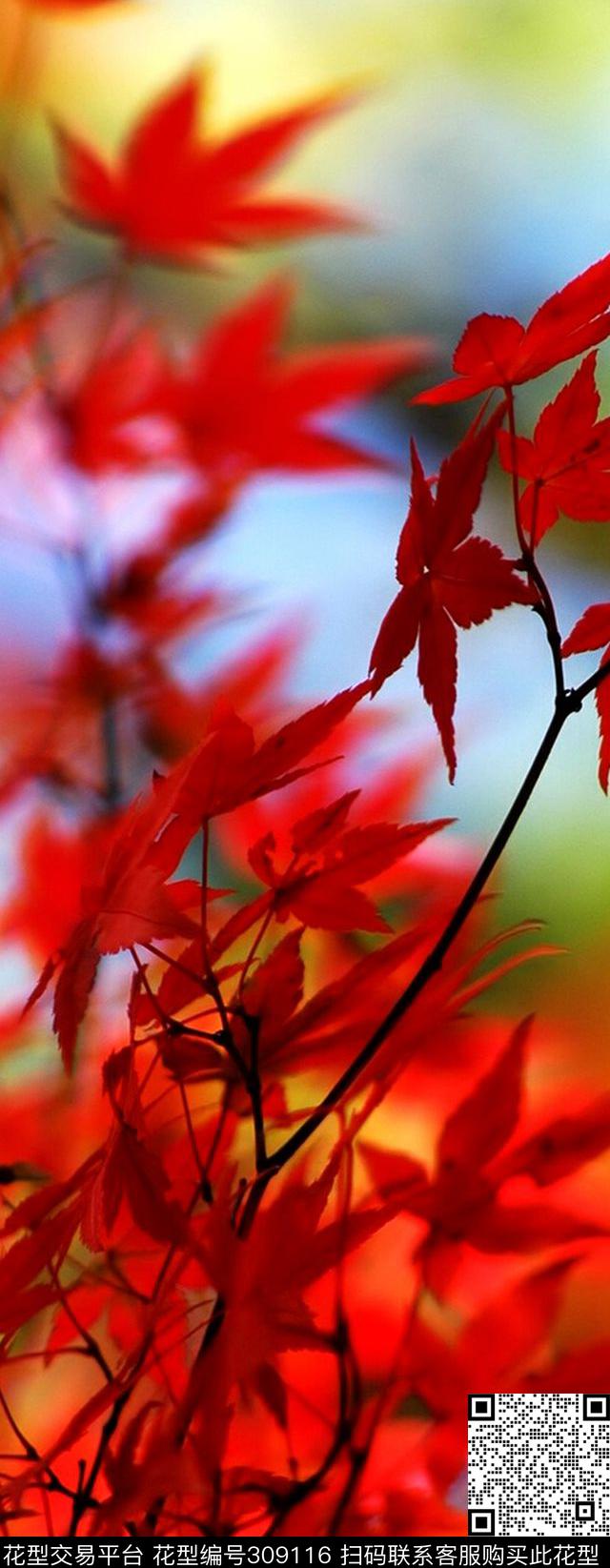 数码印花华亿平台下载（图片编号: 309116） - 瓦栏（Walan）