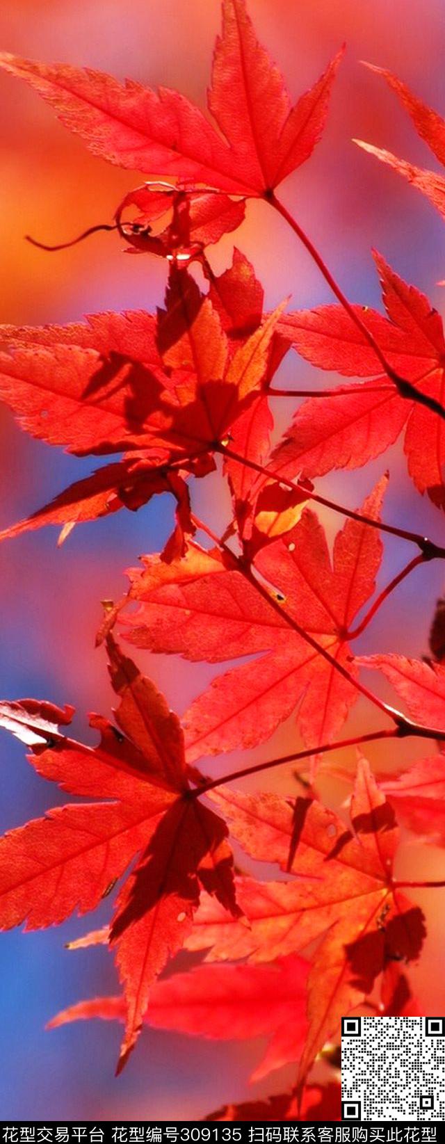 数码印花华亿平台下载（图片编号: 309135） - 瓦栏（Walan）