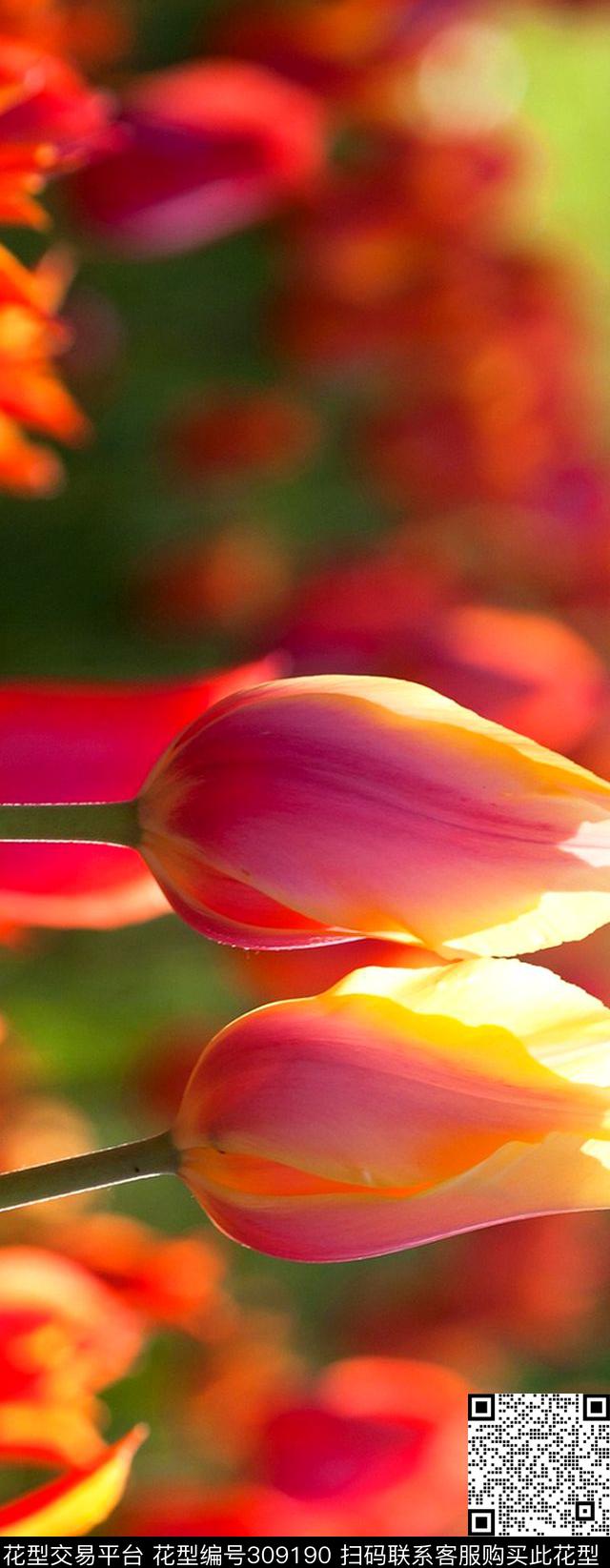 数码印花华亿平台下载（图片编号: 309190） - 瓦栏（Walan）