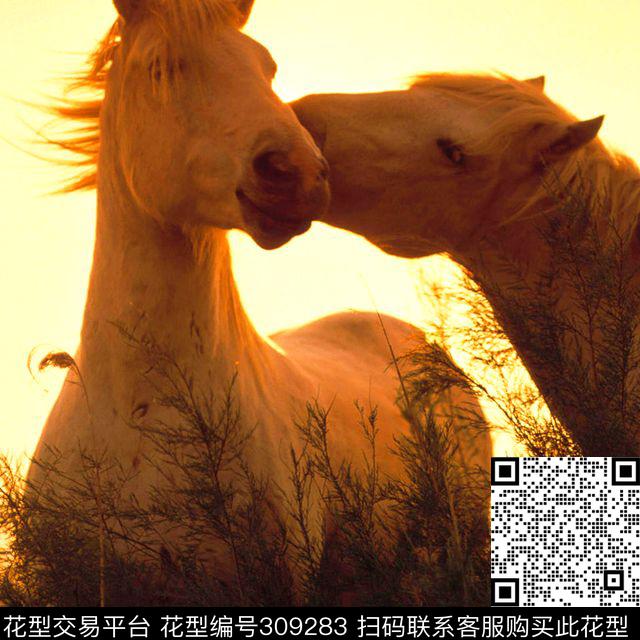 数码印花华亿平台下载（图片编号: 309283） - 瓦栏（Walan）