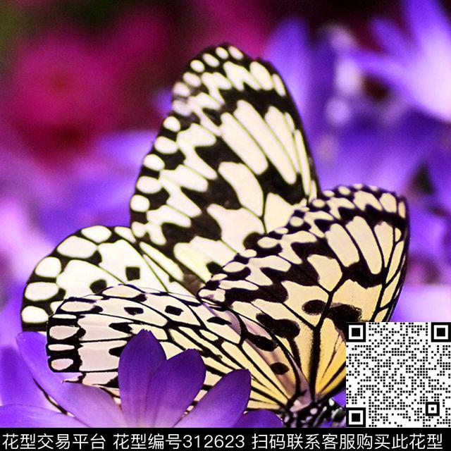 数码印花华亿平台下载（图片编号: 312623） - 瓦栏（Walan）