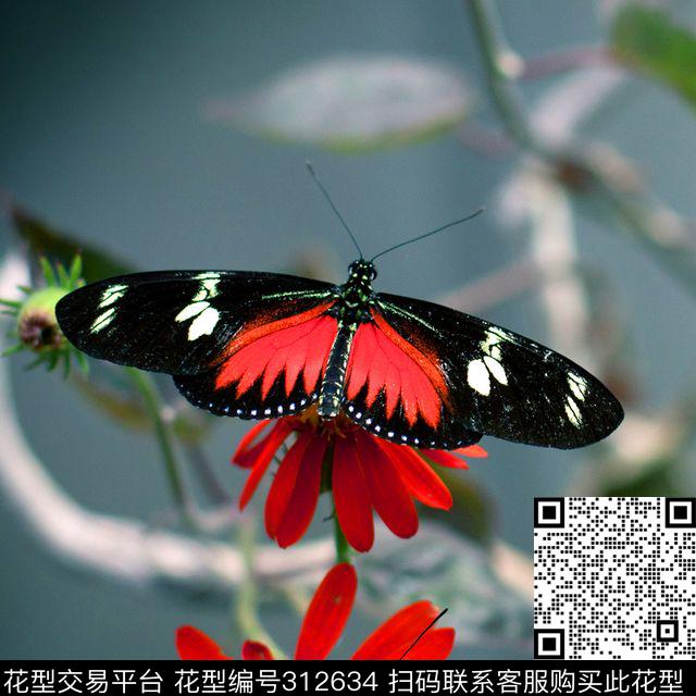 数码印花华亿平台下载（图片编号: 312634） - 瓦栏（Walan）