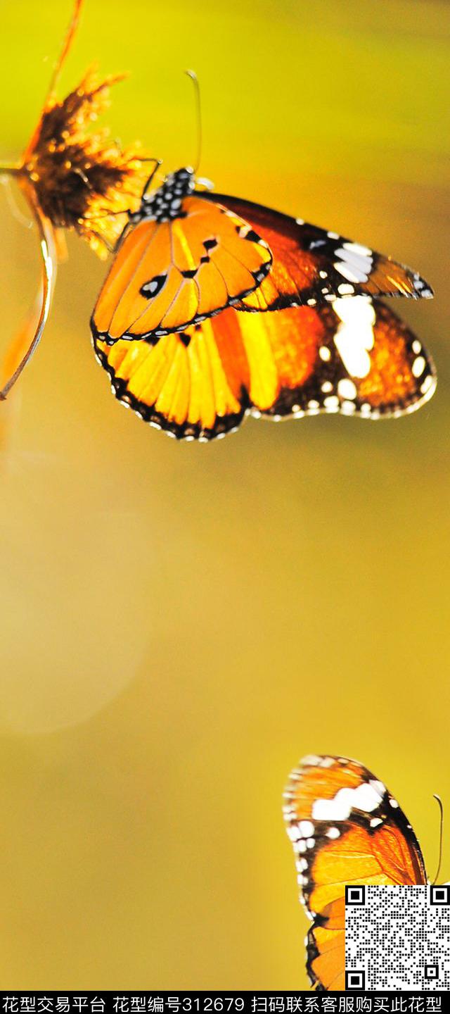 数码印花华亿平台下载（图片编号: 312679） - 瓦栏（Walan）