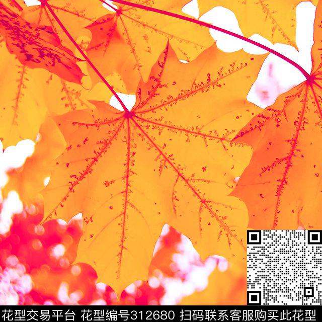 数码印花华亿平台下载（图片编号: 312680） - 瓦栏（Walan）