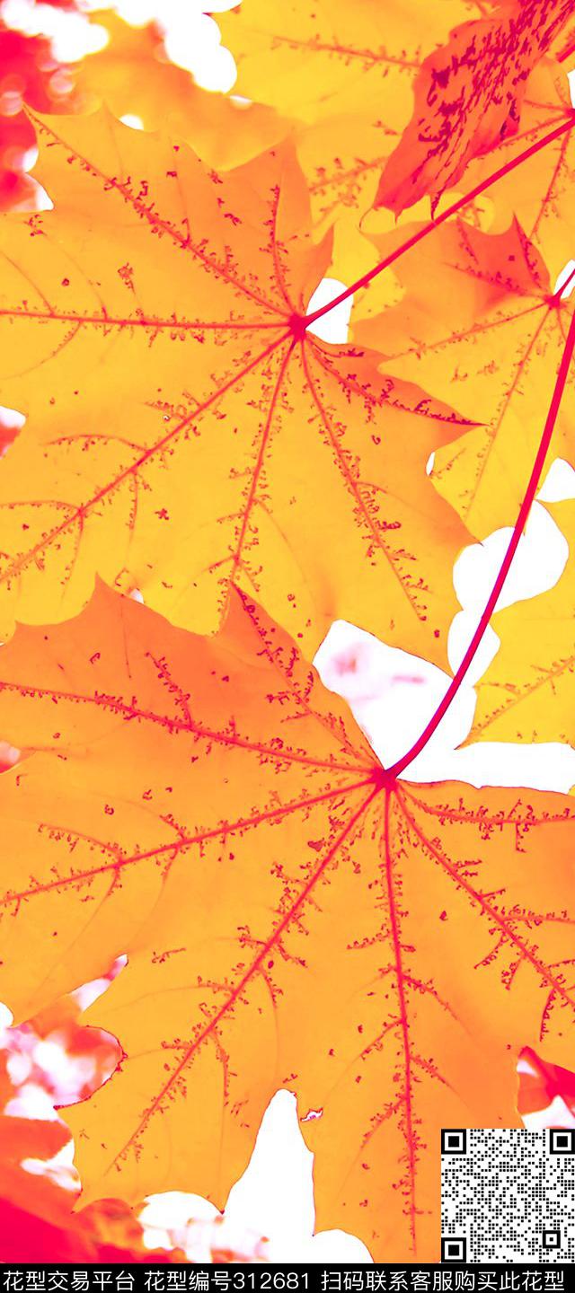 数码印花华亿平台下载（图片编号: 312681） - 瓦栏（Walan）