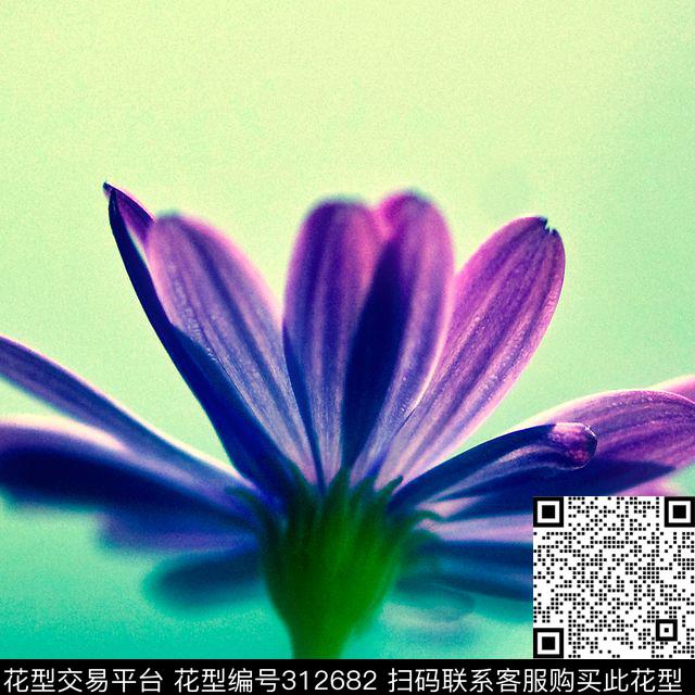 数码印花华亿平台下载（图片编号: 312682） - 瓦栏（Walan）