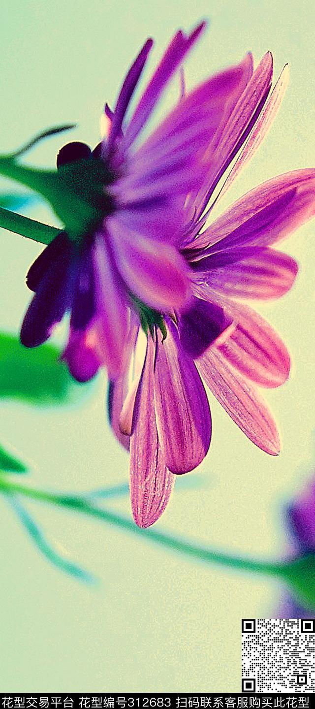 数码印花华亿平台下载（图片编号: 312683） - 瓦栏（Walan）