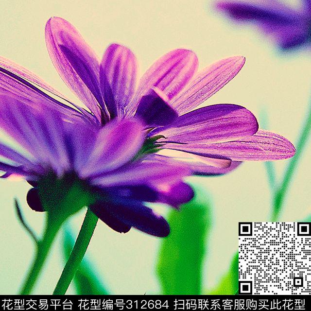 数码印花华亿平台下载（图片编号: 312684） - 瓦栏（Walan）