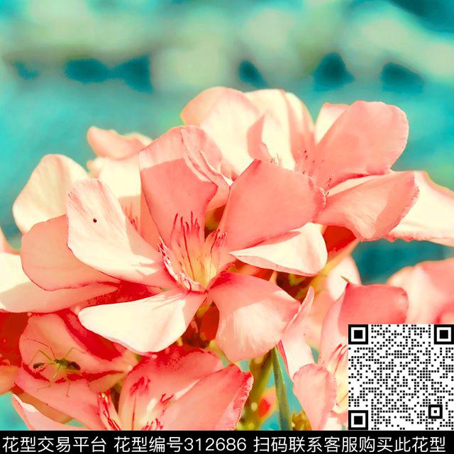 数码印花华亿平台下载（图片编号: 312686） - 瓦栏（Walan）