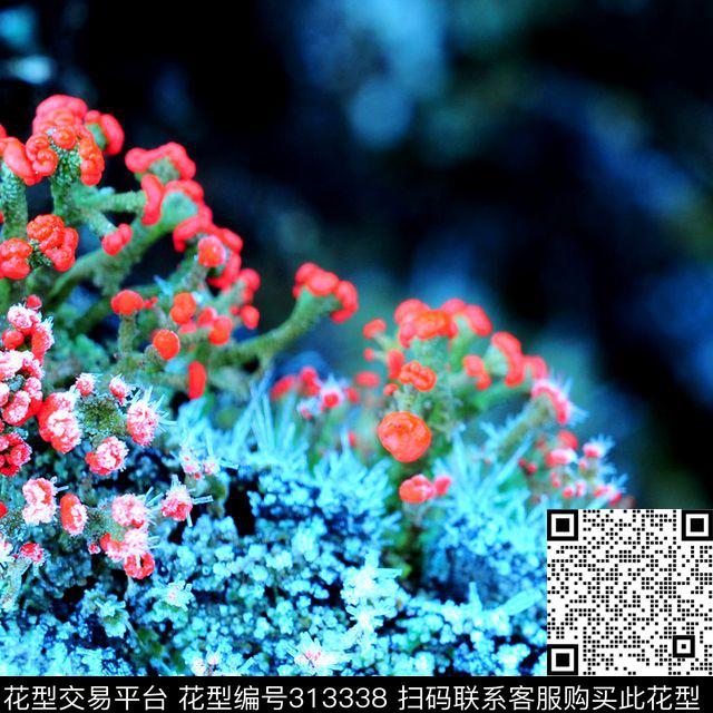 数码印花华亿平台下载（图片编号: 313338） - 瓦栏（Walan）