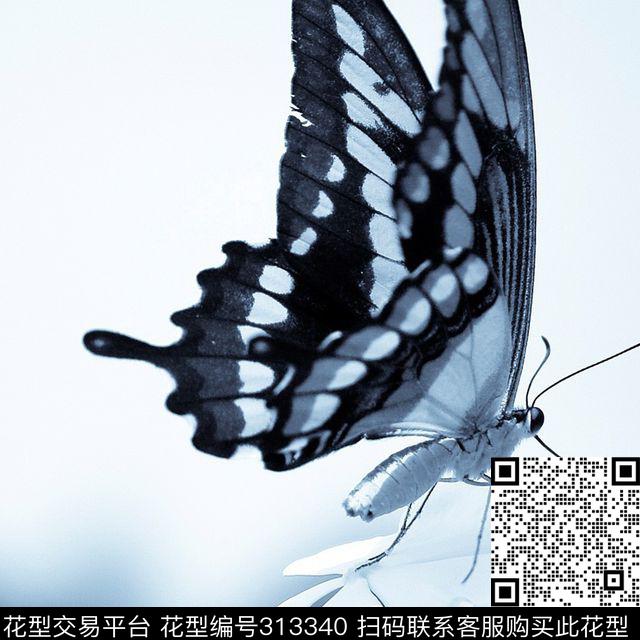 数码印花华亿平台下载（图片编号: 313340） - 瓦栏（Walan）