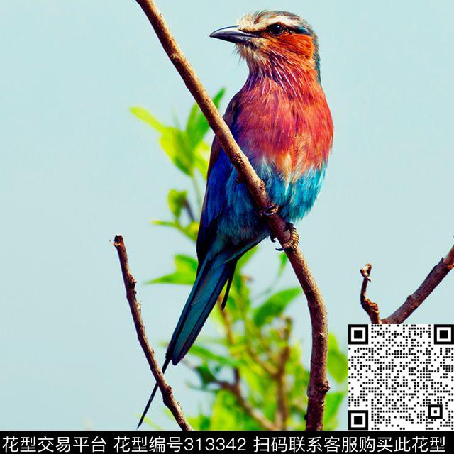 数码印花华亿平台下载（图片编号: 313342） - 瓦栏（Walan）