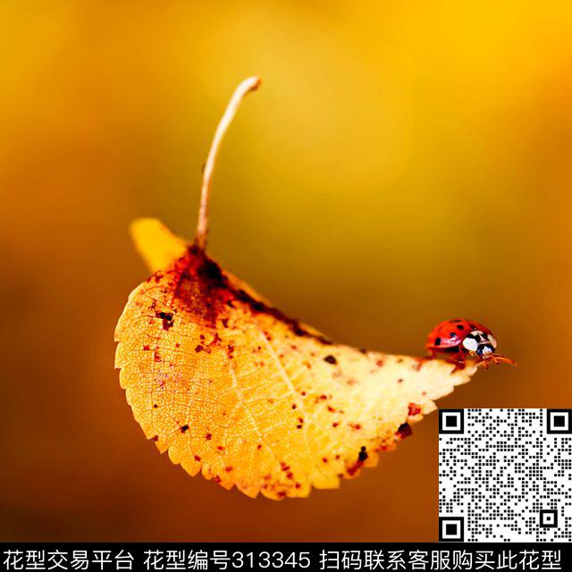 数码印花华亿平台下载（图片编号: 313345） - 瓦栏（Walan）