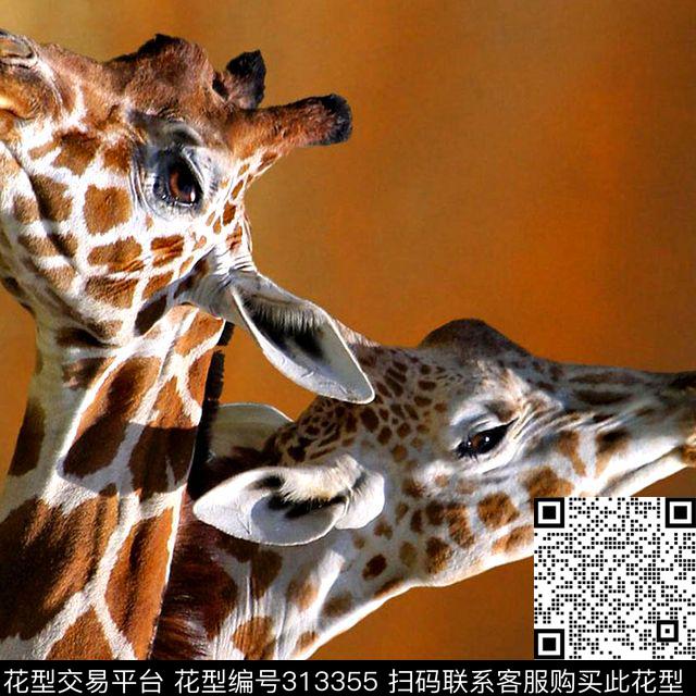 数码印花华亿平台下载（图片编号: 313355） - 瓦栏（Walan）