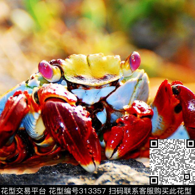 数码印花华亿平台下载（图片编号: 313357） - 瓦栏（Walan）