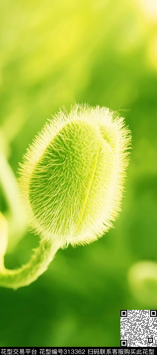 数码印花华亿平台下载（图片编号: 313362） - 瓦栏（Walan）