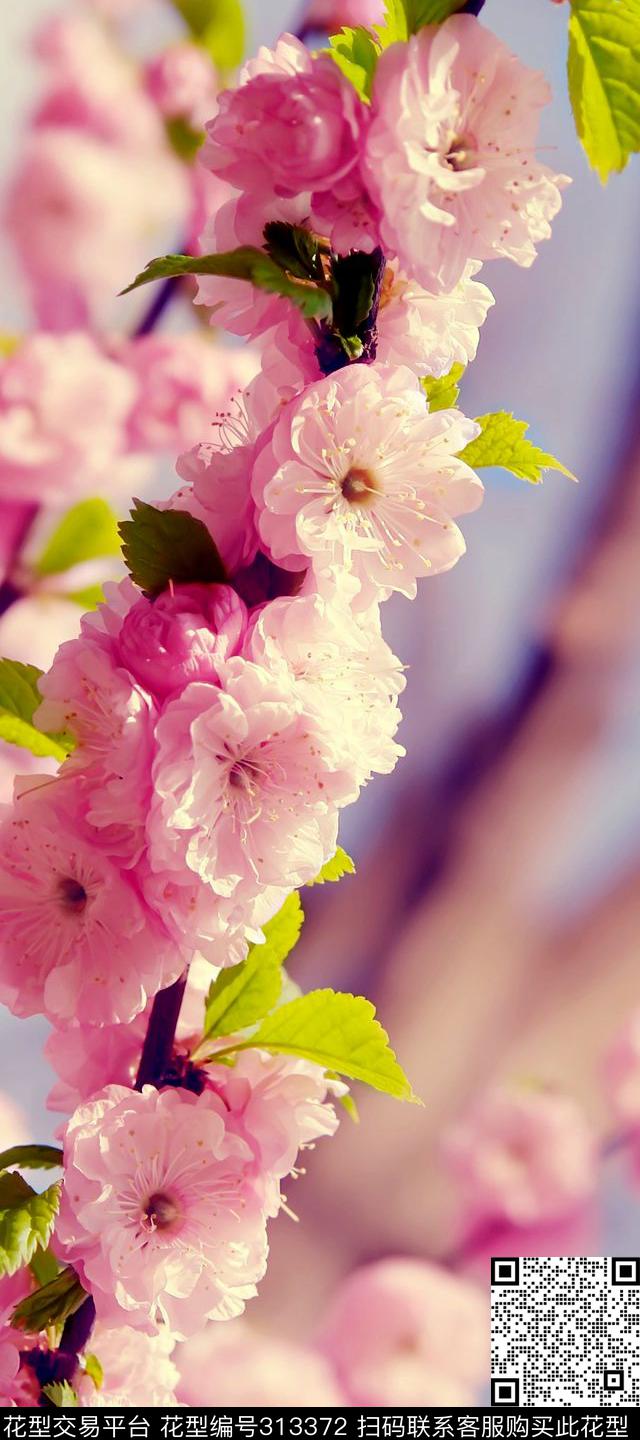 数码印花华亿平台下载（图片编号: 313372） - 瓦栏（Walan）