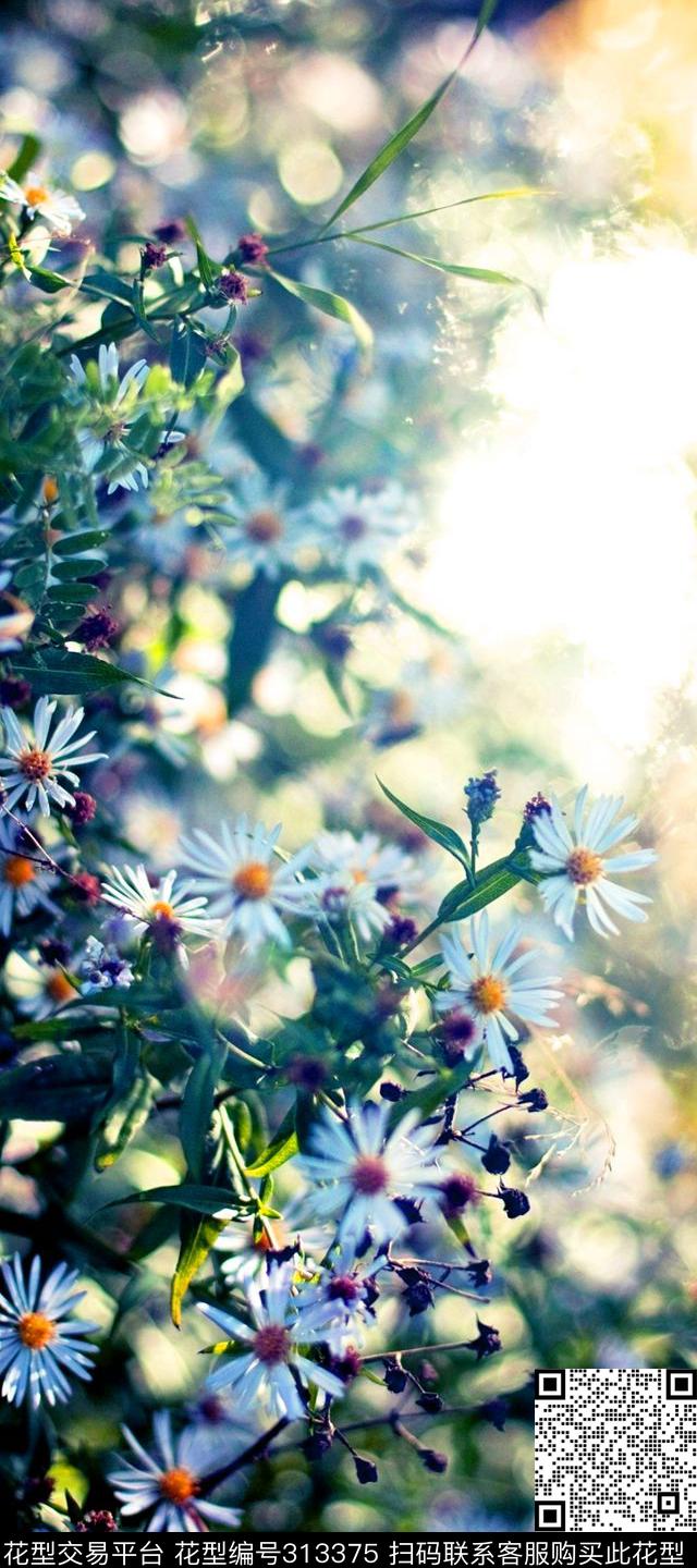 数码印花华亿平台下载（图片编号: 313375） - 瓦栏（Walan）