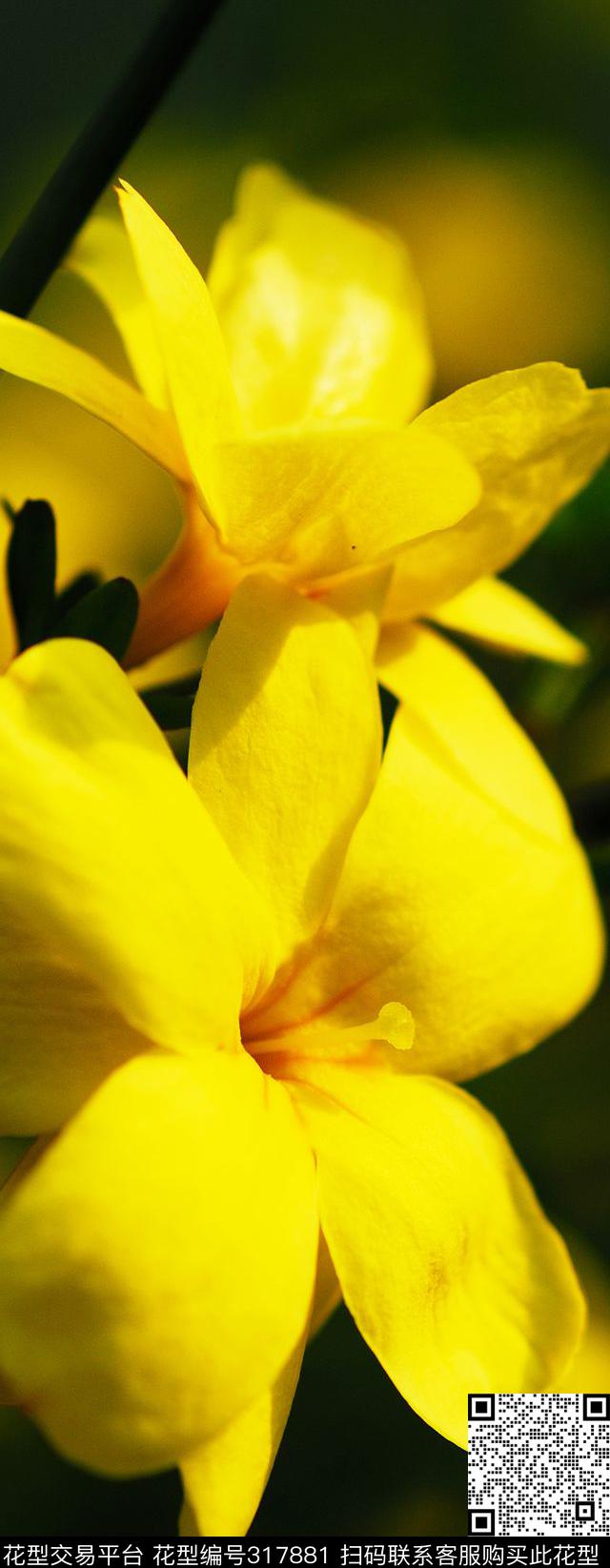 数码印花华亿平台下载（图片编号: 317881） - 瓦栏（Walan）