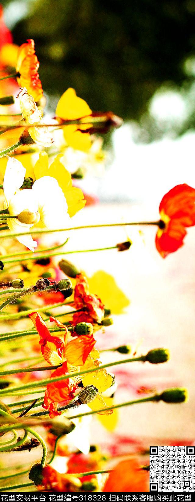 数码印花华亿平台下载（图片编号: 318326） - 瓦栏（Walan）