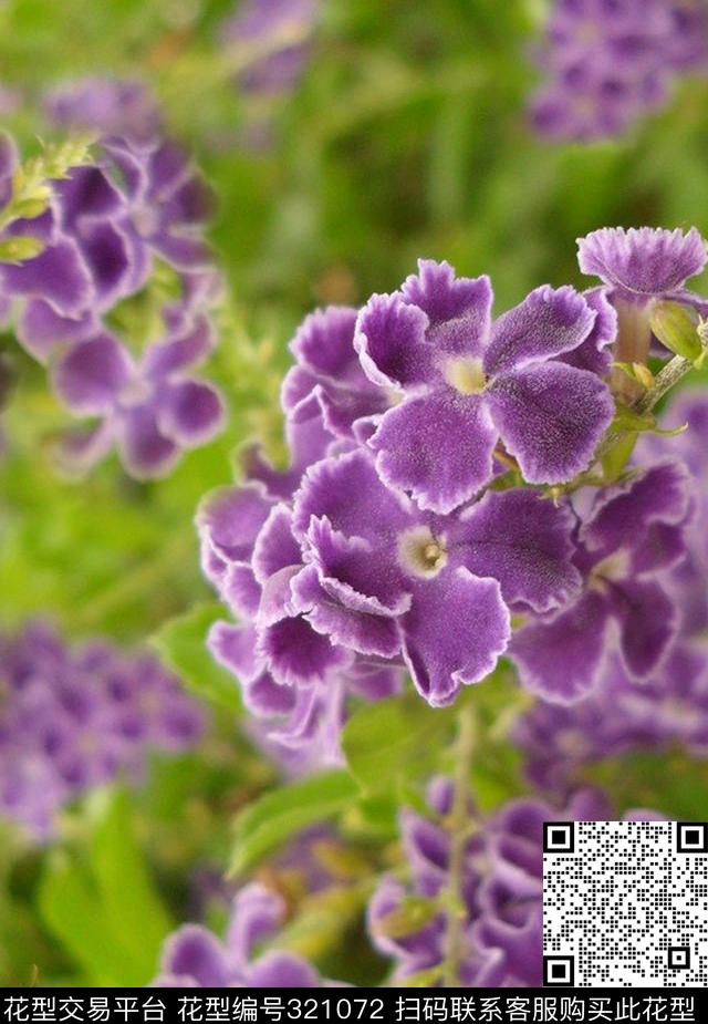 花卉数码印花华亿平台下载（图片编号: 321072） - 瓦栏（Walan）