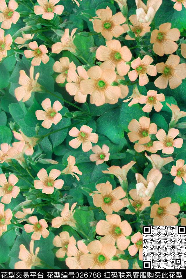 花卉数码印花华亿平台下载（图片编号: 326788） - 瓦栏（Walan）
