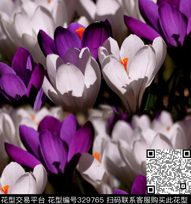 田园风花卉数码印花华亿平台下载（图片编号: 329765） - 瓦栏（Walan）