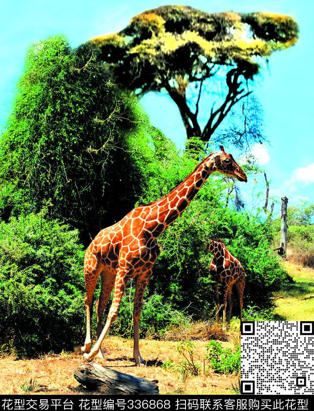 数码印花华亿平台下载（图片编号: 336868） - 瓦栏（Walan）