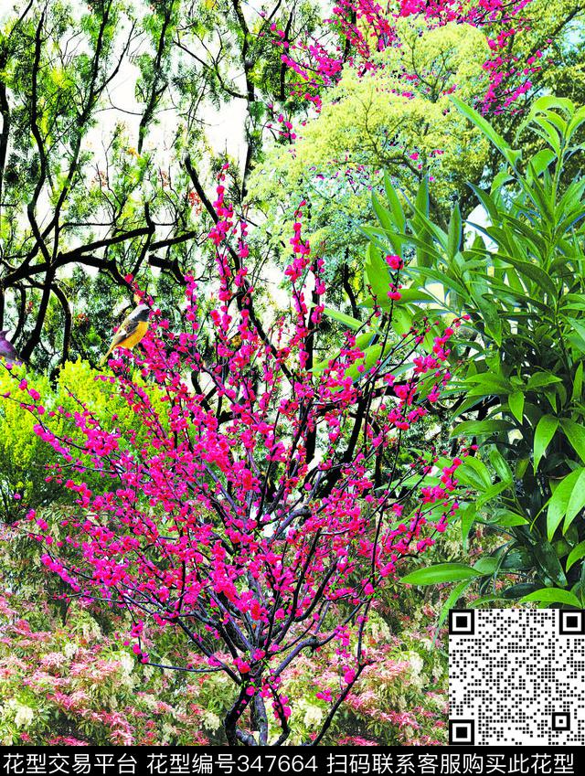 照片景观数码印花华亿平台下载（图片编号: 347664） - 瓦栏（Walan）