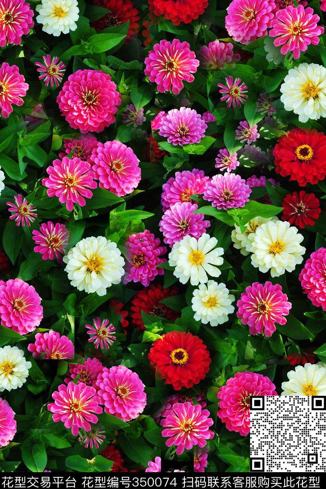 数码印花华亿平台下载（图片编号: 350074） - 瓦栏（Walan）