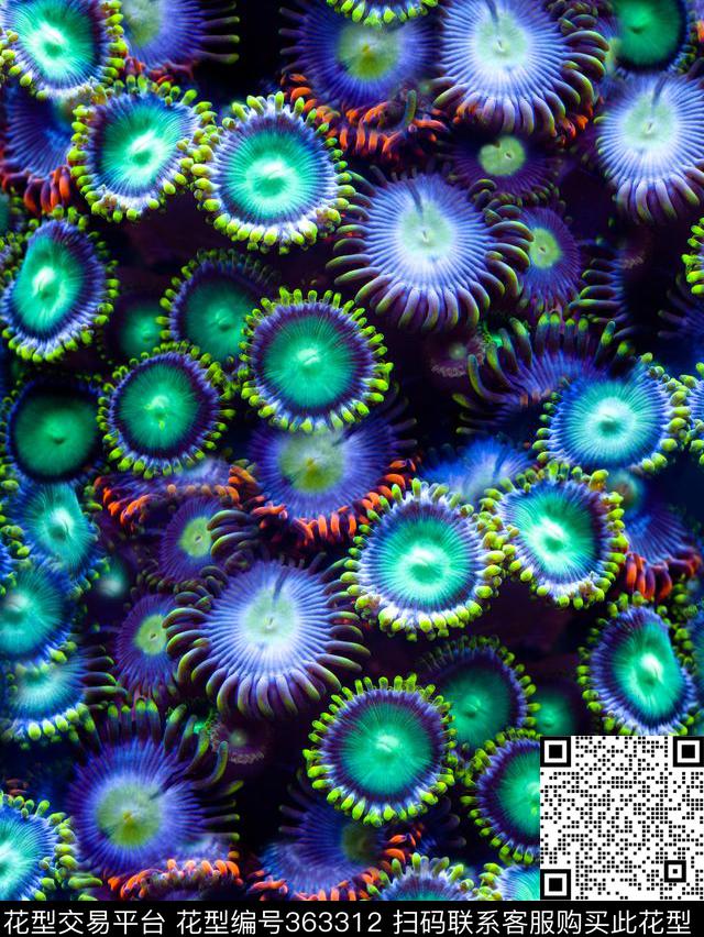 海洋热带鱼珊瑚数码印花华亿平台下载（图片编号: 363312） - 瓦栏（Walan）