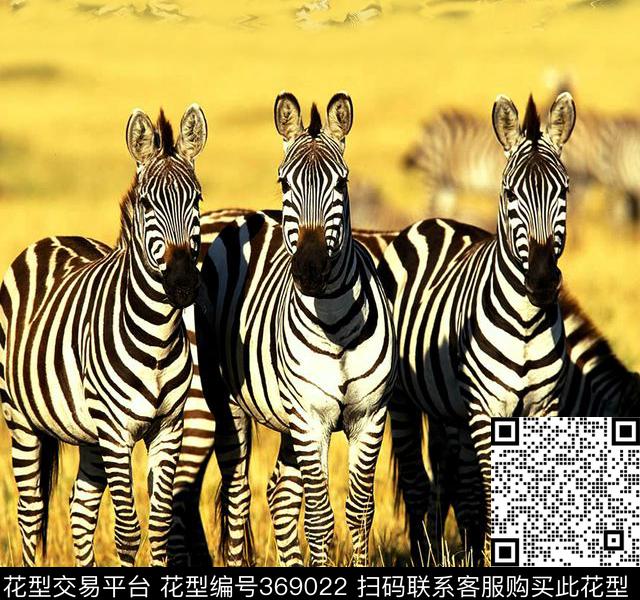 斑马动物风景数码印花华亿平台下载（图片编号: 369022） - 瓦栏（Walan）